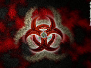 www.twistedimagemc.com